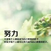 静夜听雨