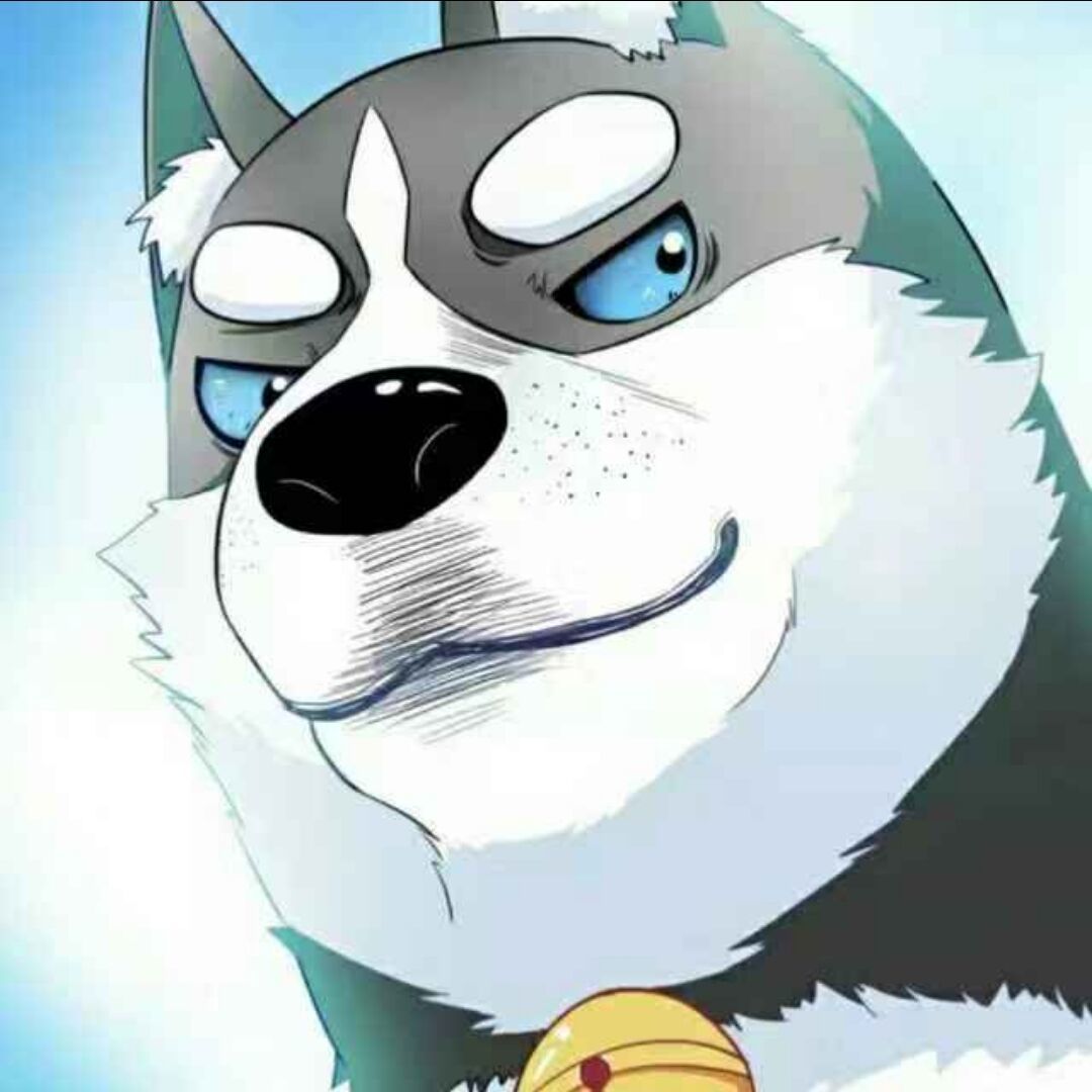 用户头像