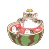 欧皇七号-【TITAIKE】T太科网