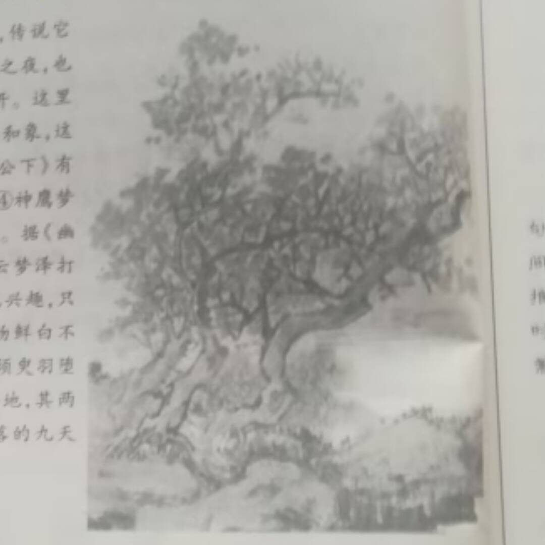 qq_珍惜12