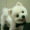 小汪-【TITAIKE】T太科网