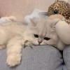 z20060426-方块星球 - 我的世界论坛