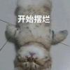 云中甘蓝-火种游戏