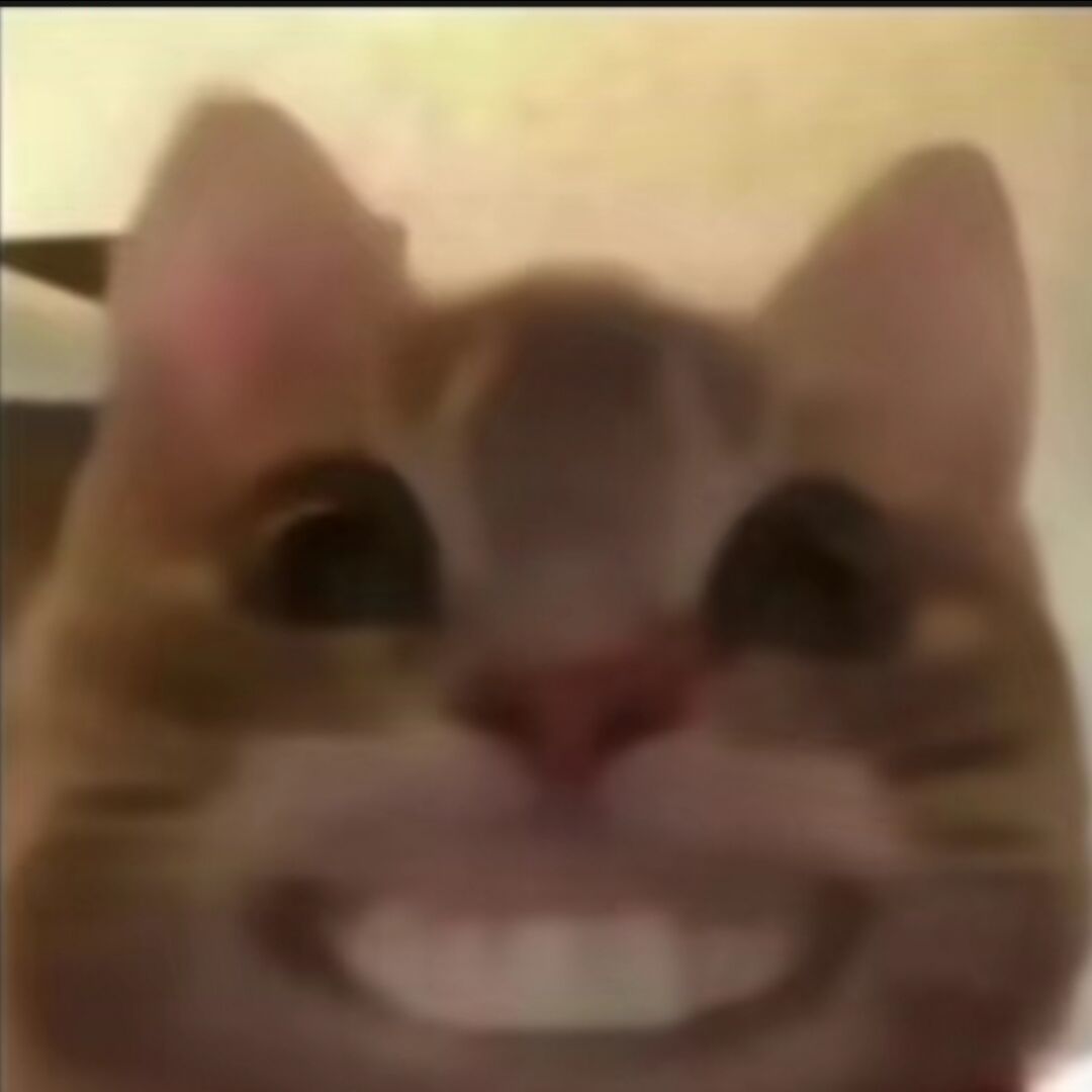 qq_乊20