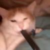 毛向阳-【TITAIKE】T太科网