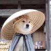 hrhr-【TITAIKE】T太科网