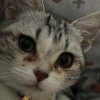 用户28553639-iPA资源站
