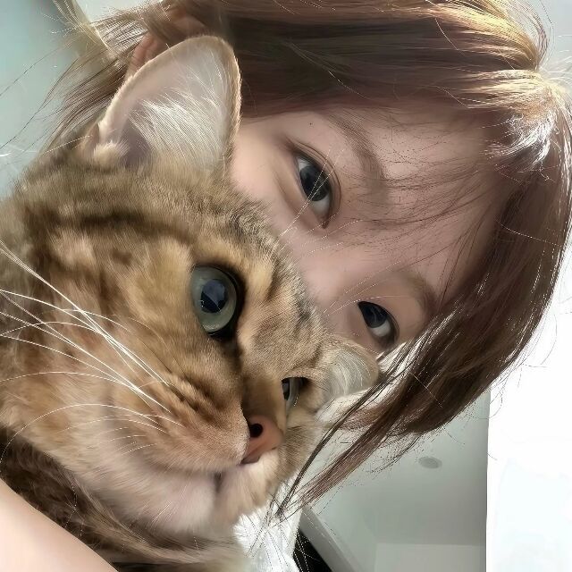 用户头像