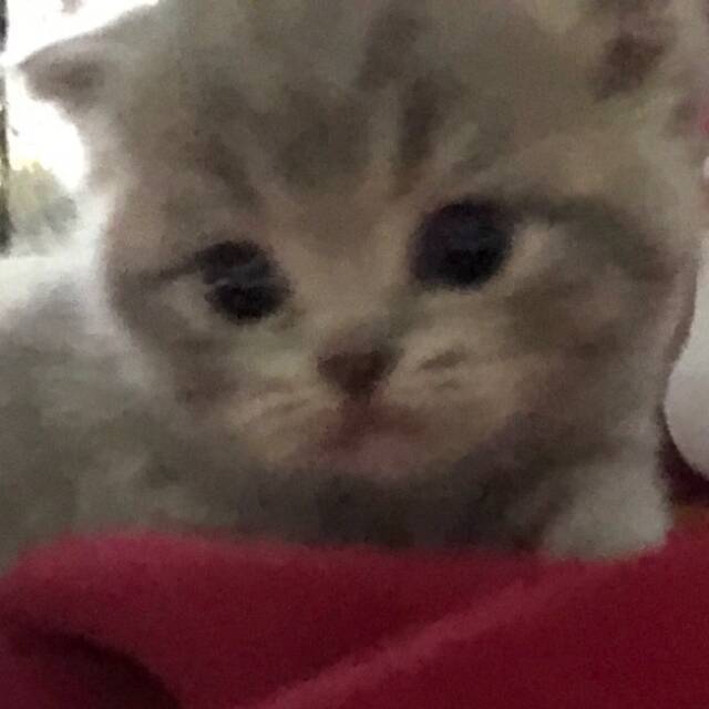 用户头像