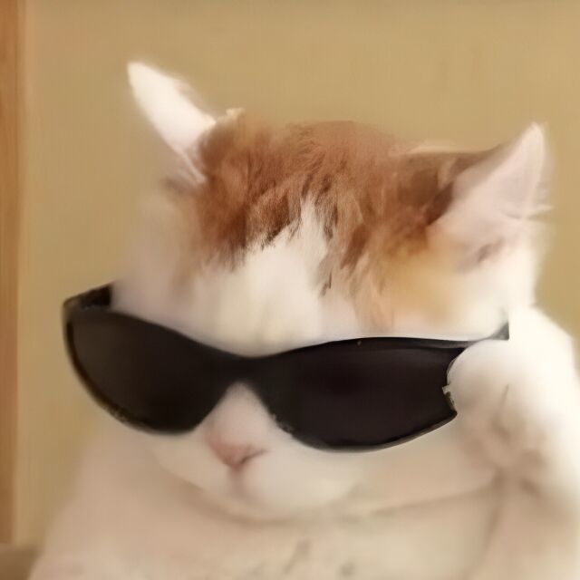 用户头像