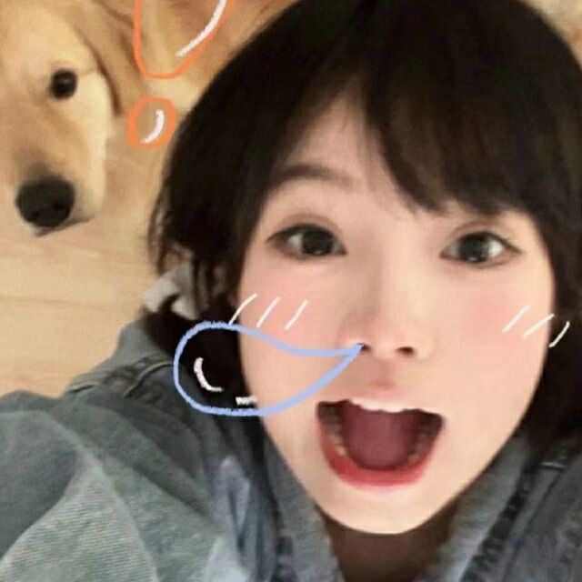 用户头像