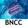 曹勋-会员头像-www.bncc.org.cn北纳生物网