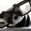 熊猫-VST5-娱乐音频资源分享平台