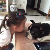 DメS Annie SaSa，发布寻狗启示热爱宠物狗狗，希望流浪狗回家的狗主人。