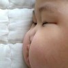 小海豚_32674371