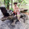 小海豚_53479641
