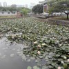 微信小海豚_22390466