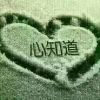 小海豚_22272865