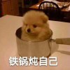 莫离莫棄