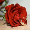 /QQ:5c0a34486cb5de44032a2f2472