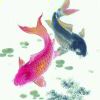 小海豚_49608382