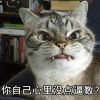 城南晓颜