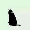 /QQ:a07af636ef14c1ea2f16330abe