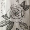 小海豚_27895676