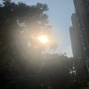小海豚_60103252