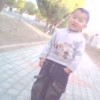 小海豚_64394153