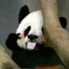 粪逗  ing