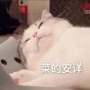 略喵
