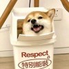 涉峰