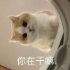 夕词