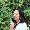 周云梅