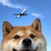 ?