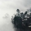 相濡以沫