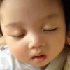 杰伊5篇