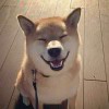 天堂载我