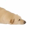 笔新