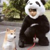 援助熱線