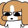 林深时见鹿๑