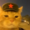 浩然帅气