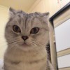孙爷爷在此