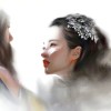 南风也曾入我怀