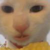 去吧.二狗。