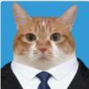 猫小九