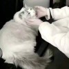 为了你有何不可@