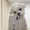 你在心上_5921