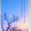 暮光_4888